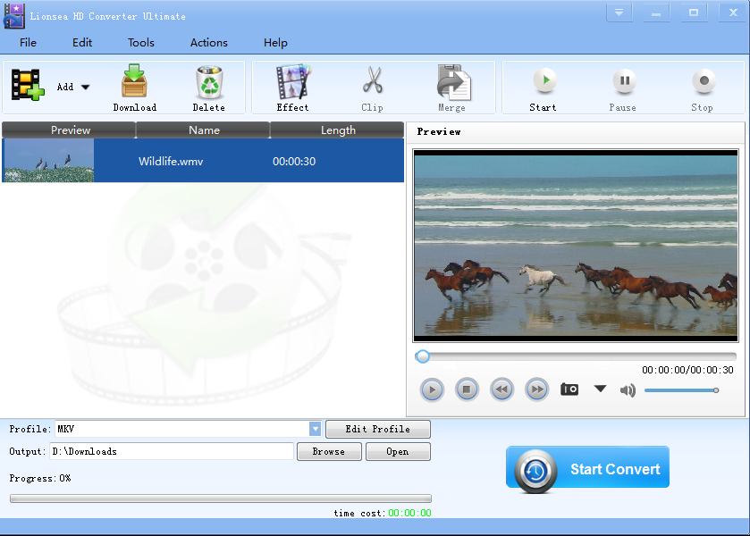 Lionsea HD Converter Ultimate screenshot