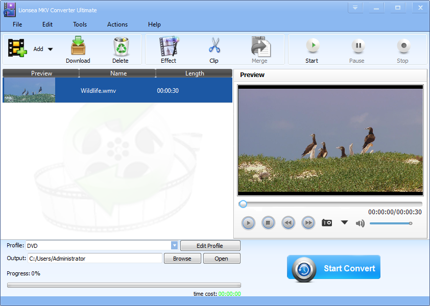 Lionsea MKV Converter Ultimate screenshot Lionsea MKV Converter Ultimate screenshot