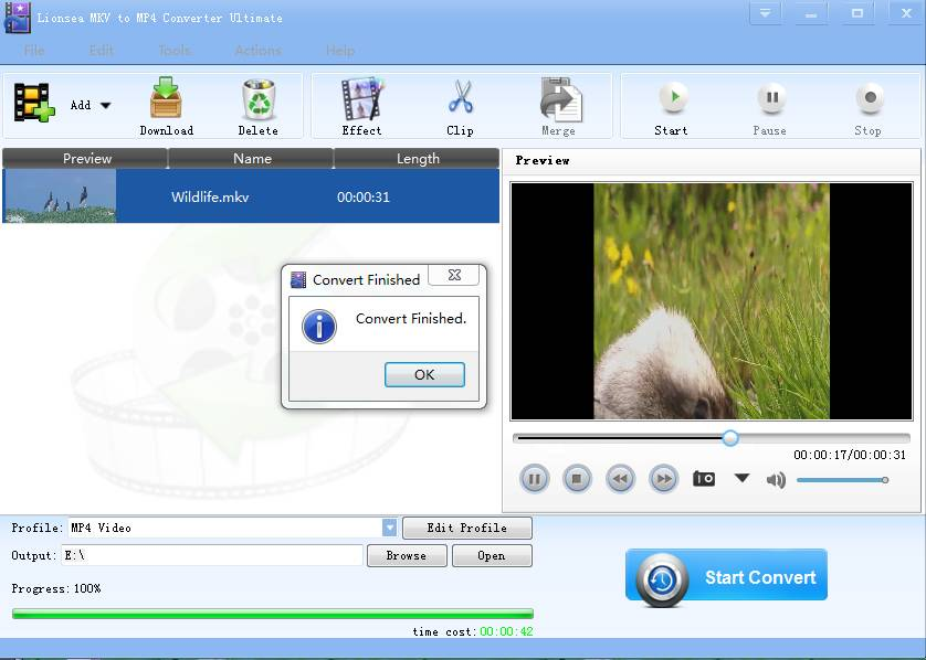 GitHub videoconvertermac/howtoconvertmkvtomp4 Lionsea MKV To