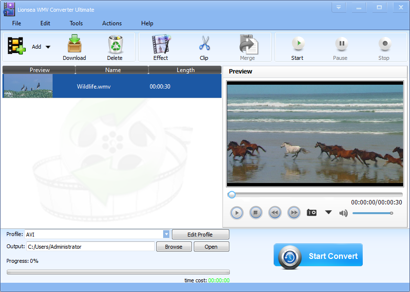 Windows 10 Lionsea WMV Converter Ultimate full